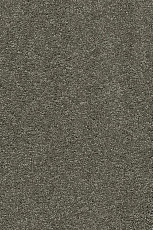 AW Vivendi Punch 29 фото 1 | FLOORDEALER